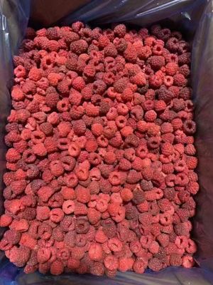 High Quality  Frozen Whole Raspberries
