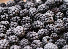 Frozen Fruits Berries Hot Sale and High Quality IQF Frozen Blackberry