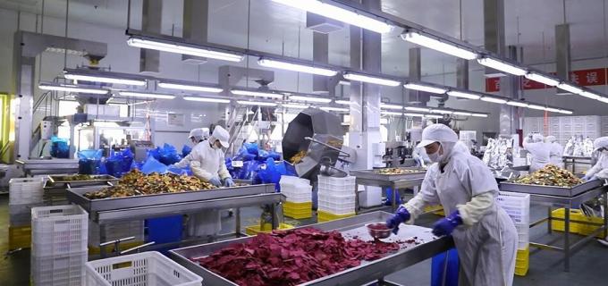 উচ্চ মানের বাল্ক ফ্রিজড রাস্পবেরি ফ্রিজড রাস্পবেরি বাল্ক প্যাকেজিং ফল 9