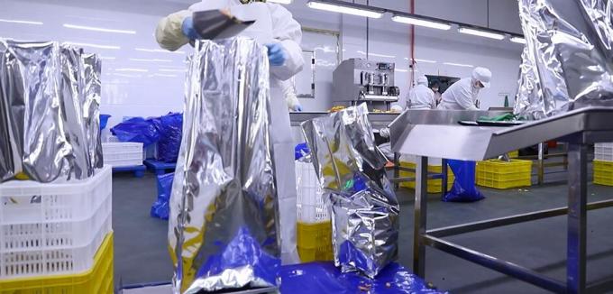 উচ্চ মানের বাল্ক ফ্রিজড রাস্পবেরি ফ্রিজড রাস্পবেরি বাল্ক প্যাকেজিং ফল 11