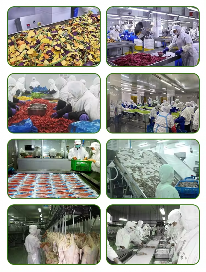 পাইকারি বাল্ক প্যাকেজড ফ্রিজড কুমড়ো ডিসেড ইকফ কুমড়ো টুকরো ফ্রিজড সবজি 5