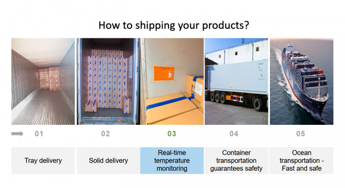 চীন থেকে আসা হিমায়িত ইকফ কলা উচ্চমানের পণ্য রপ্তানির জন্য কাটা হয় 2