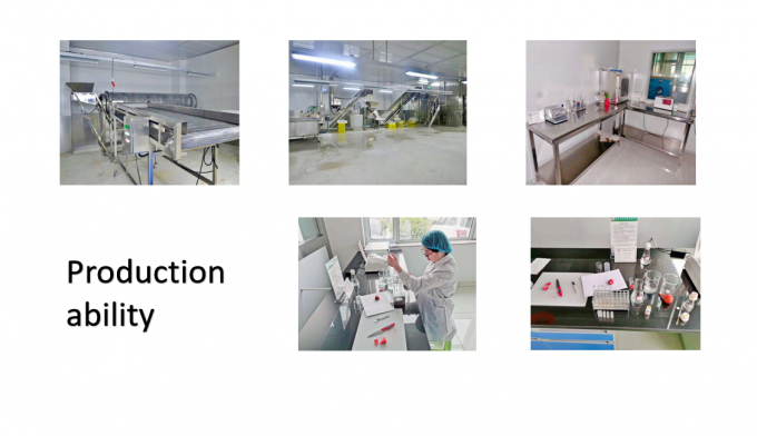 চীনা সরবরাহ সেরা মানের ভাল দাম Iqf হিমশীতল সবজি পুরো Okra গাম্বো 7