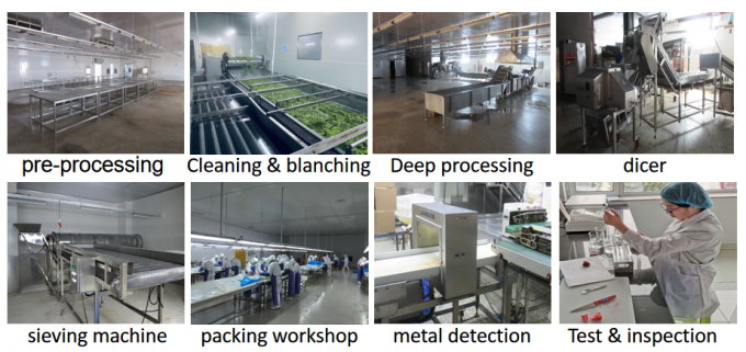 চীনা সরবরাহ সেরা মানের ভাল দাম Iqf হিমশীতল সবজি পুরো Okra গাম্বো 8