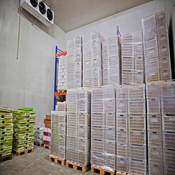 সুলভ মূল্যে সেরা মানের কম ফ্যাটযুক্ত, পরিষ্কার, হালাল-অনুমোদিত হিমায়িত ভেড়ার কলিজা 3