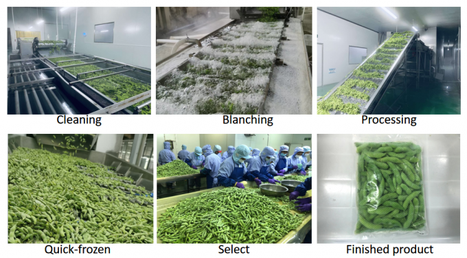 বাল্ক জৈবিক উচ্চ প্রোটিন ফ্রিজ উদ্ভিদ রান্না করার জন্য প্রস্তুত আইকিউএফ সয়া মটরশুটি 4