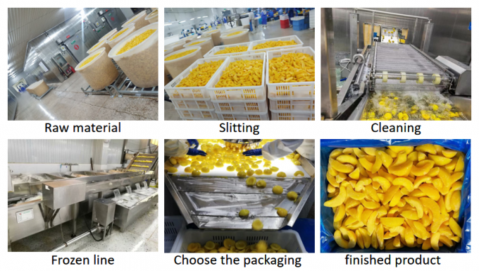 শীর্ষ মানের ১০ কেজি বাল্ক হিমায়িত হলুদ পীচ ফালি - টিনজাত ও রপ্তানির জন্য আদর্শ 3