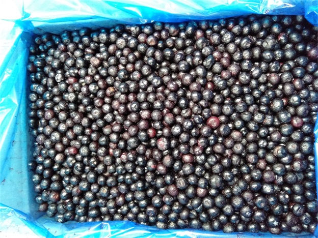 IQF হিমায়িত গোটা ব্লুবেরি প্রিমিয়াম বেকিং এবং স্মুদি টপিং অত্যন্ত 2