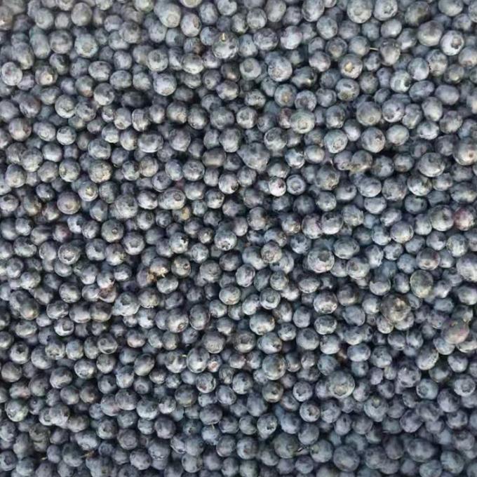 IQF হিমায়িত গোটা ব্লুবেরি প্রিমিয়াম বেকিং এবং স্মুদি টপিং অত্যন্ত 1