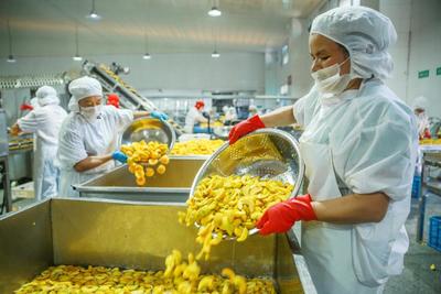 আইকিউএফ জৈব হলুদ পীচ অর্ধেক হিমায়িত ফল মিষ্টি স্বাদ বাল্ক প্যাকেজ সংরক্ষিত জল পাল্প সম্পূর্ণ কিউব ডাইস অর্ধেক উপলব্ধ 8