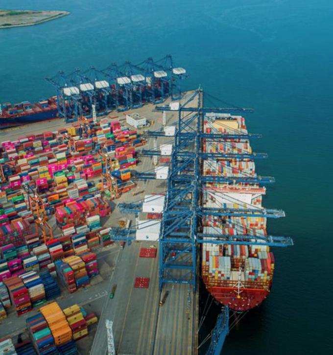 আইকিউএফ জৈব হলুদ পীচ অর্ধেক হিমায়িত ফল মিষ্টি স্বাদ বাল্ক প্যাকেজ সংরক্ষিত জল পাল্প সম্পূর্ণ কিউব ডাইস অর্ধেক উপলব্ধ 13