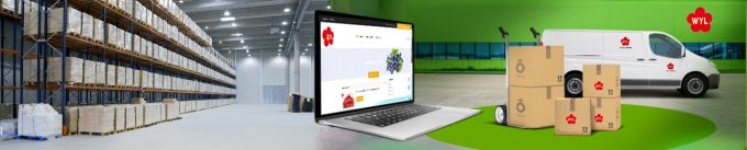 উচ্চ মানের আইকিউএফ হিমায়িত আপেল অর্ধেক পাইকারি এবং খুচরা জন্য গরম বিক্রয় কারখানা মূল্য জল সংরক্ষণ বাল্ক প্যাকেজিং 1