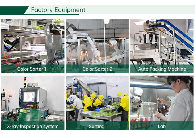 উচ্চ ব্রিক্স বেরি ফল IQF হিমায়িত ব্ল্যাকবেরি জুস, জ্যাম এবং টপিংয়ের জন্য 4