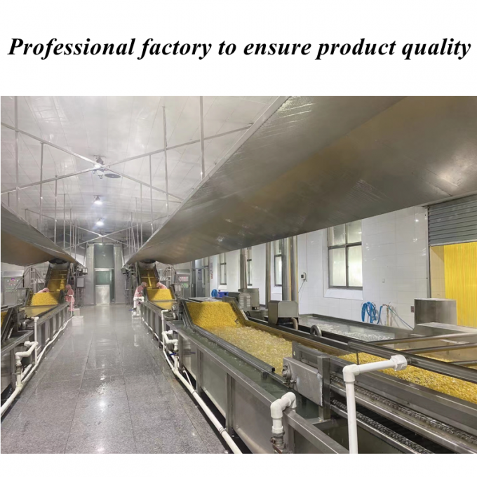 উচ্চমানের প্রতিযোগিতামূলক মূল্য ফ্রিজড কর্ন মিষ্টি কর্নার জৈবিক নন-জিএমও বাল্ক প্যাকিং 1