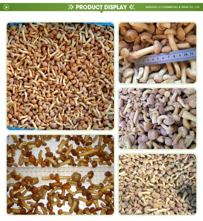 বন্য চাষ করা জৈব মাশরুম স্বাস্থ্যকর প্রাকৃতিক পুষ্টিকর তাজা গোটা হিমায়িত মাশরুম IQF হিমায়িত নামেকো 1