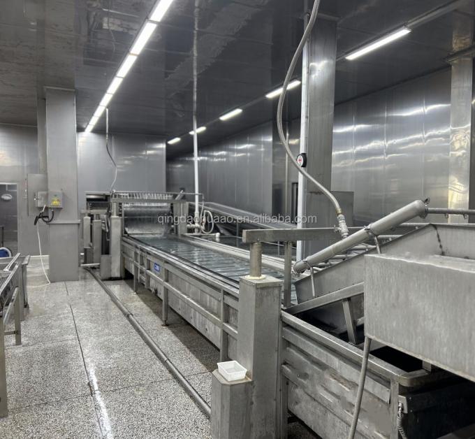 সিনোচার্ম হালাল কোশার তাজা 4*4 মিমি চীনা আইকিউএফ ডাইসড আদা সরবরাহকারী 1 কেজি স্পাইসের জন্য হিমায়িত আদা 5