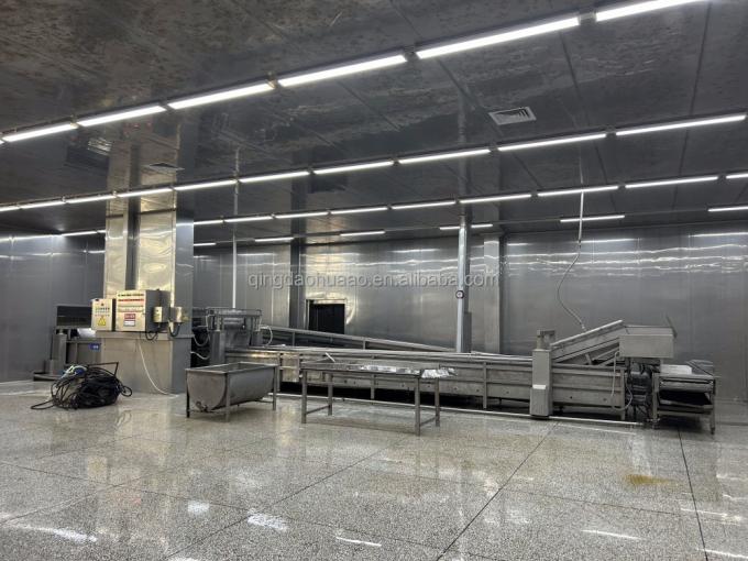 সিনোচার্ম হালাল কোশার তাজা 4*4 মিমি চীনা আইকিউএফ ডাইসড আদা সরবরাহকারী 1 কেজি স্পাইসের জন্য হিমায়িত আদা 6