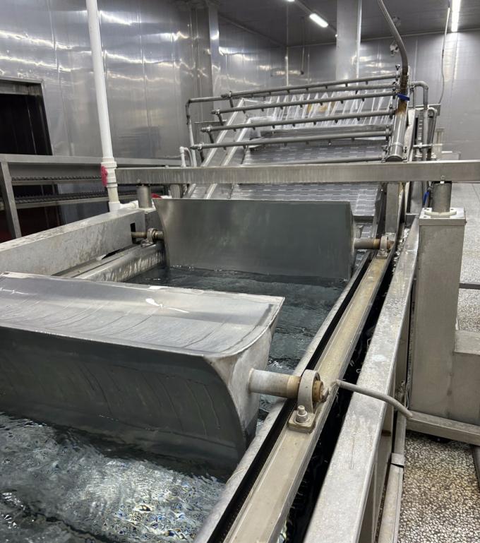 সিনোচার্ম হালাল কোশার তাজা 4*4 মিমি চীনা আইকিউএফ ডাইসড আদা সরবরাহকারী 1 কেজি স্পাইসের জন্য হিমায়িত আদা 8