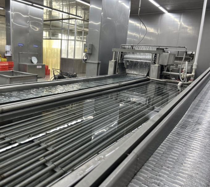 সিনোচার্ম হালাল কোশার তাজা 4*4 মিমি চীনা আইকিউএফ ডাইসড আদা সরবরাহকারী 1 কেজি স্পাইসের জন্য হিমায়িত আদা 9