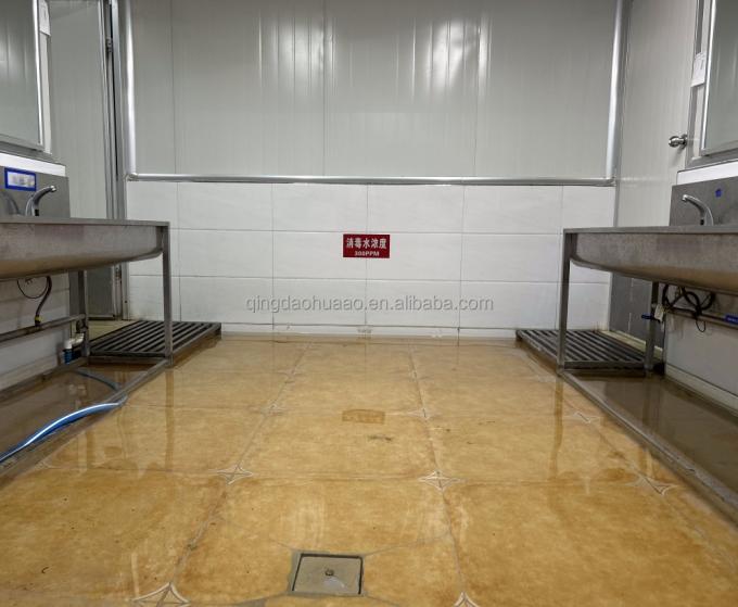 সিনোচার্ম হালাল কোশার তাজা 4*4 মিমি চীনা আইকিউএফ ডাইসড আদা সরবরাহকারী 1 কেজি স্পাইসের জন্য হিমায়িত আদা 10