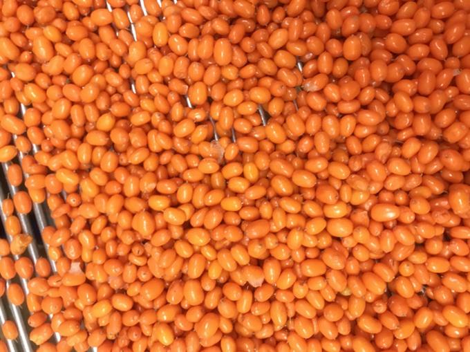 উৎপত্তি চীন IQF তাজা হিমায়িত বন্য সি- buckthorn প্রথম শ্রেণীর সি- buckthorn লিংগনবেরি রাস্পবেরি, ব্লুবেরি মিশ্রিত বেরি 2