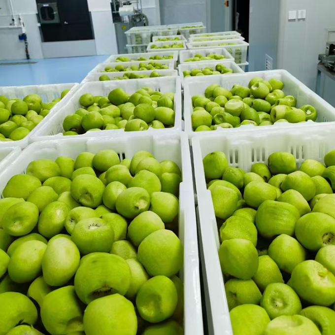 কিউই ফল ফ্রিজ ফ্রিজ কিউই বল গুণমান প্রাকৃতিক 3