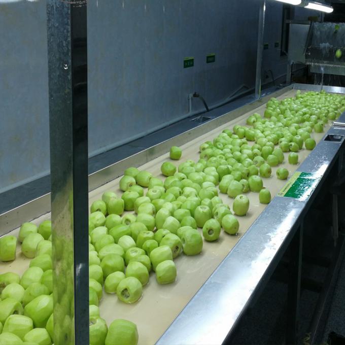 কিউই ফল ফ্রিজ ফ্রিজ কিউই বল গুণমান প্রাকৃতিক 5