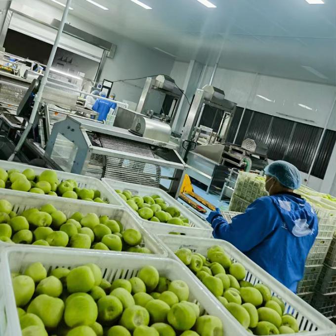 কিউই ফল ফ্রিজ ফ্রিজ কিউই বল গুণমান প্রাকৃতিক 4