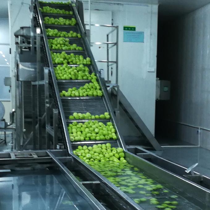 কিউই ফল ফ্রিজ ফ্রিজ কিউই বল গুণমান প্রাকৃতিক 6