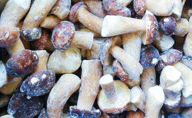 হিমায়িত মাশরুম IQF BOLETUS EDULIS গ্রেড A 24 মাস শেল্ফ জীবন ISO HACCP BRC KOSHER HALAL সার্টিফাইড 10 টন MOQ 2
