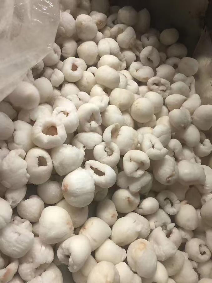 হিমাঙ্কিত সম্পূর্ণ খোসা ছাড়ানো লিচু, বাল্ক কার্টন প্যাকেজিং-এ, IQF, মিষ্টি স্বাদের লিচু ফল, আম সহ বিভিন্ন ধরণের সংরক্ষিত ফল 3