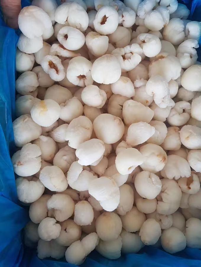 হিমাঙ্কিত সম্পূর্ণ খোসা ছাড়ানো লিচু, বাল্ক কার্টন প্যাকেজিং-এ, IQF, মিষ্টি স্বাদের লিচু ফল, আম সহ বিভিন্ন ধরণের সংরক্ষিত ফল 4