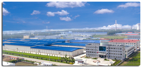 উচ্চমানের ফ্রিজড অস্থিহীন মুরগির বুক রপ্তানি প্রস্তুত বাল্ক প্যাকেজিং 4