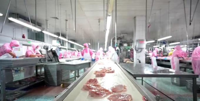 উচ্চমানের ফ্রিজড অস্থিহীন মুরগির বুক রপ্তানি প্রস্তুত বাল্ক প্যাকেজিং 6